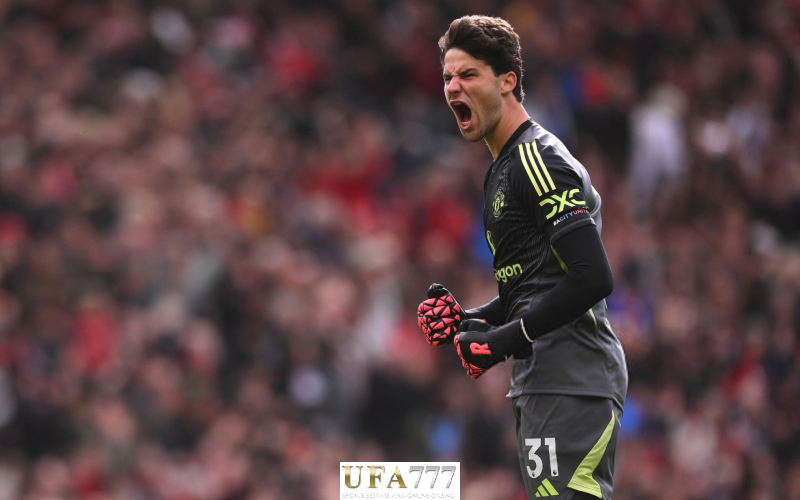 เซนเน่อ ลัมเมนส์