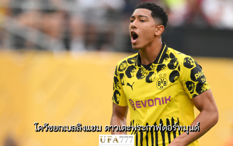 เบลลิงแฮม